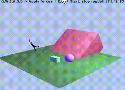 Ragdoll